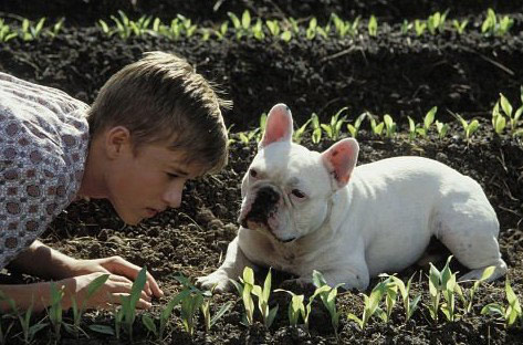 In the quiet of winter, courage remembers its way home.